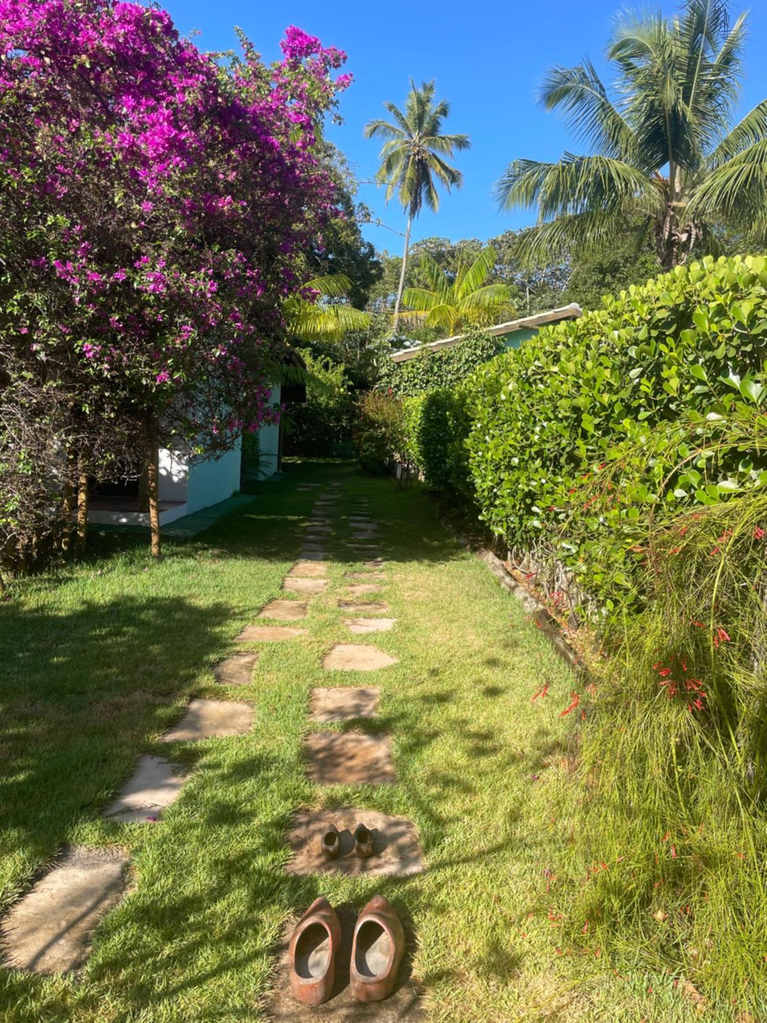 Chalets Jasmim Imbassaí-BA Apartamento Matta de São João Exterior foto