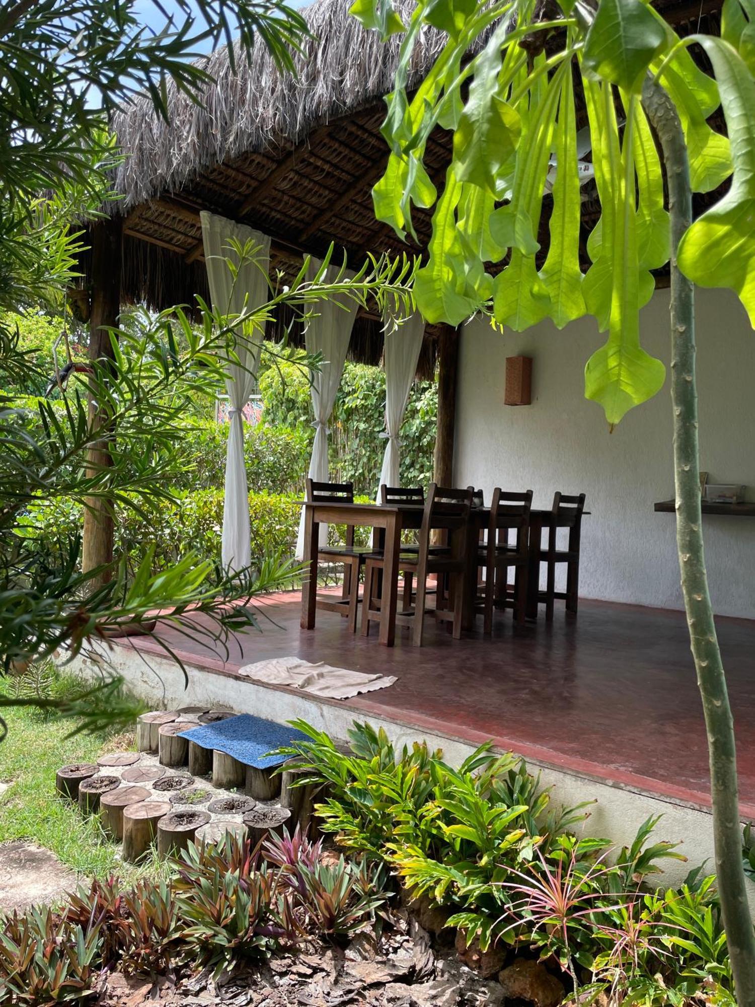 Chalets Jasmim Imbassaí-BA Apartamento Matta de São João Exterior foto